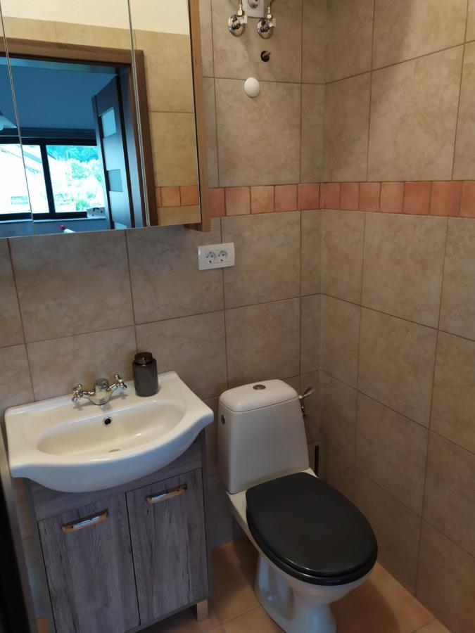 Gostilna Ulcar Hotel Ig Buitenkant foto